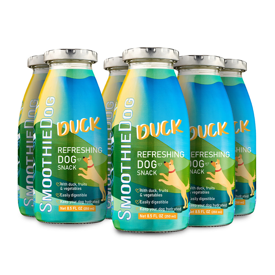 SmoothieDog Duck 6 pack