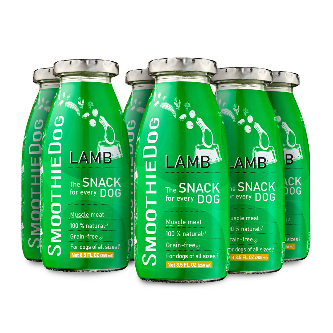 SmoothieDog Lamb 6 pack