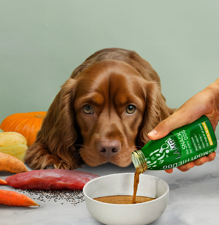 SmoothieDog