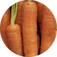 Carrots