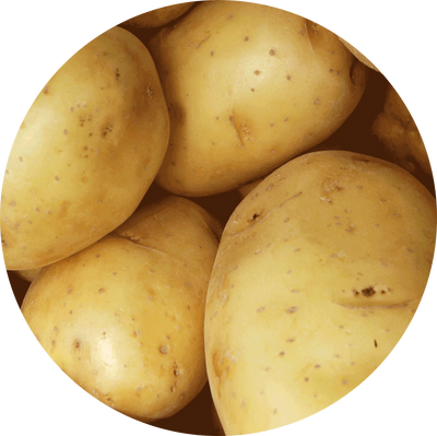 Potato