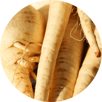 Root Parsley