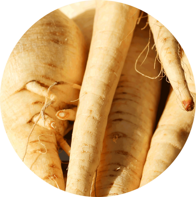 Parsnip