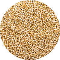 Quinoa
