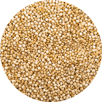 Quinoa