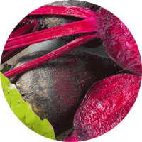 Beetroot