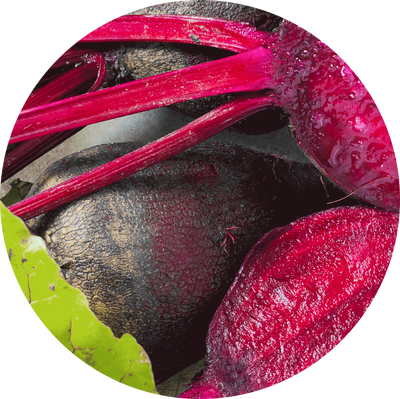 Beetroot