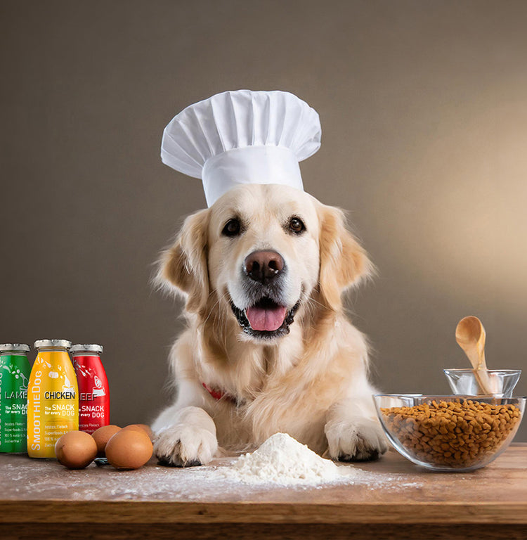 Baking healthy cookies for dogs