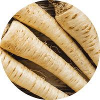Parsnip