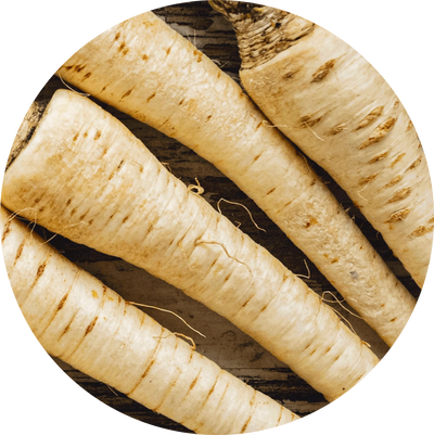 Root parsley