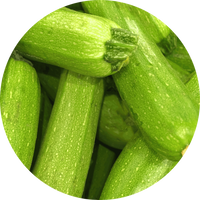Zucchini
