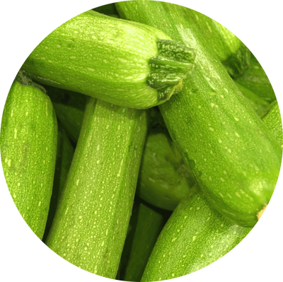 Zucchini